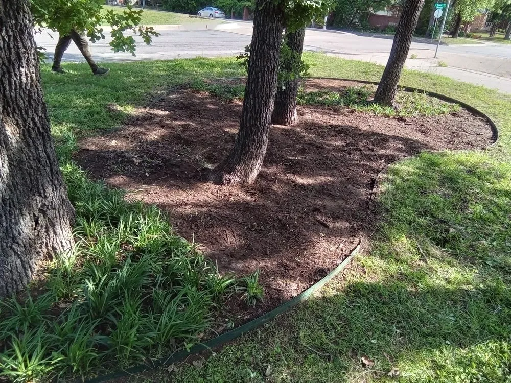 Expert landscape design in Crowley, TX - Rileys Property Maintenance