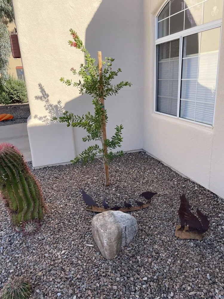 Reliable landscape installation near you across Tucson, AZ - Rillito Nursery & Garden Center