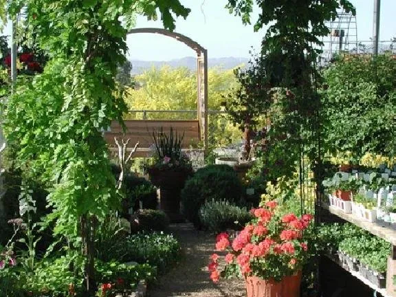 Trusted garden landscaping in Tucson, AZ - Rillito Nursery & Garden Center