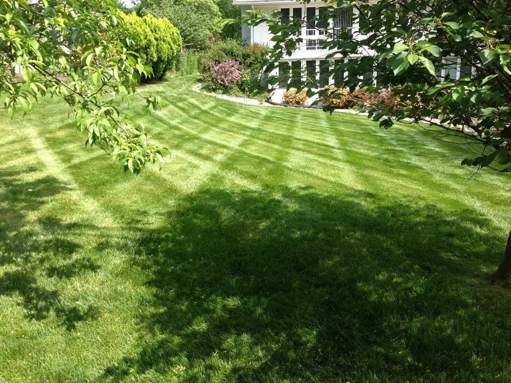 Professional residential landscaping in Arlington, VA by Rimble Landscaping