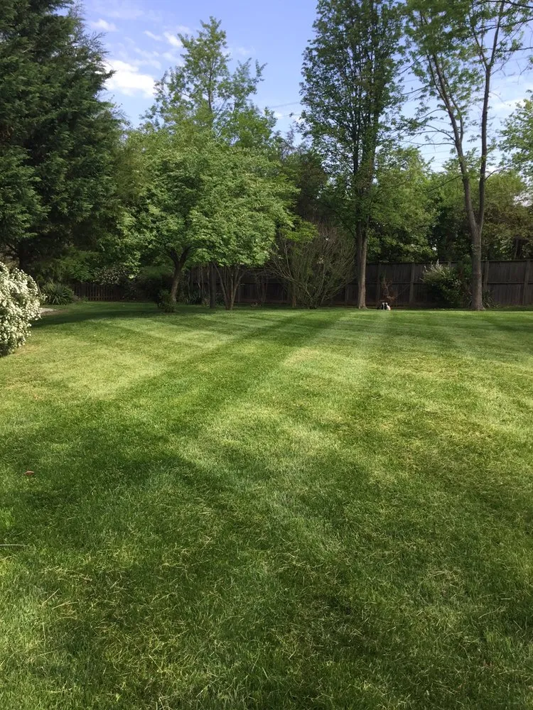 Local lawn mowing service in Arlington, VA by Rimble Landscaping