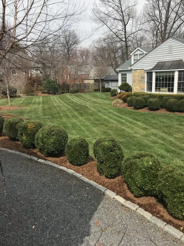 Expert garden landscaping in Arlington, VA - Rimble Landscaping
