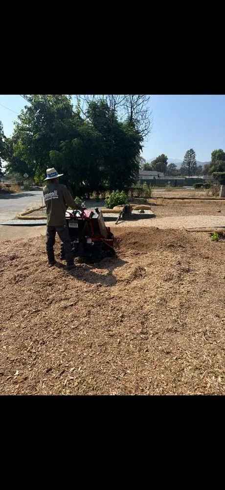 Affordable outdoor landscaping with custom design in Los Angeles, CA by Rimpau Landscaping and Maintenance