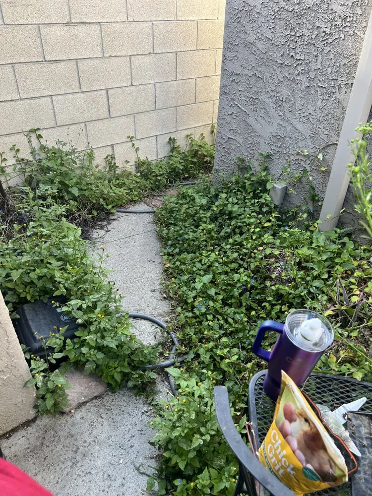 Top-rated garden landscaping experts serving Santa Fe Springs, CA - Rincon 4 Landscaping