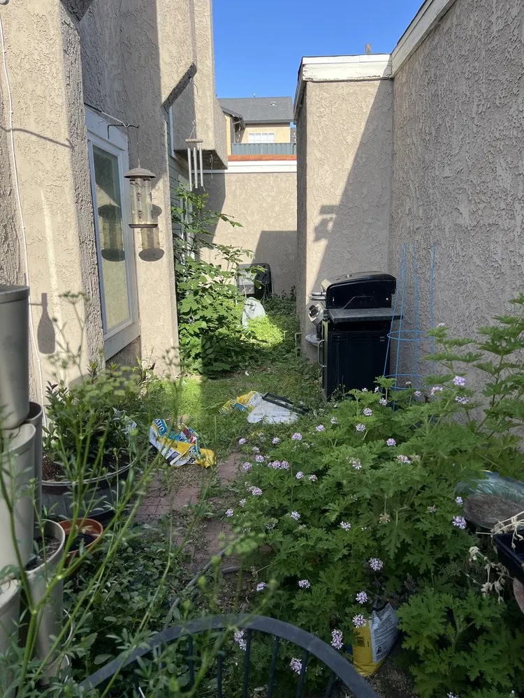 Trusted yard maintenance experts serving Santa Fe Springs, CA - Rincon 4 Landscaping