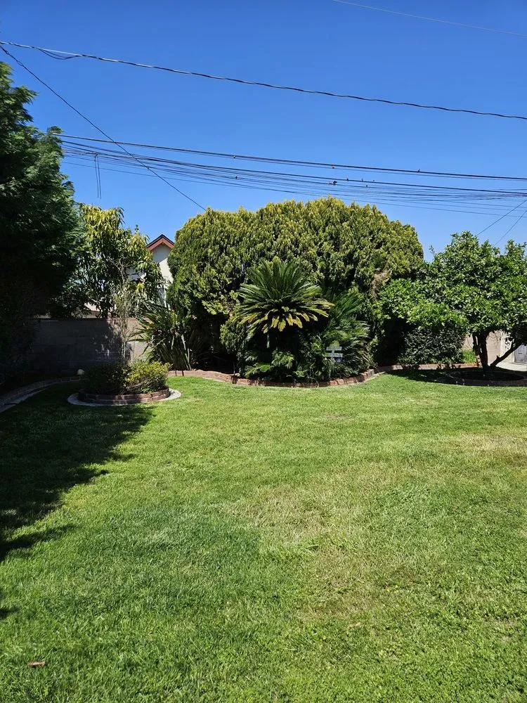 Professional lawn care service for outdoor upgrades across Santa Fe Springs, CA - Rincon 4 Landscaping