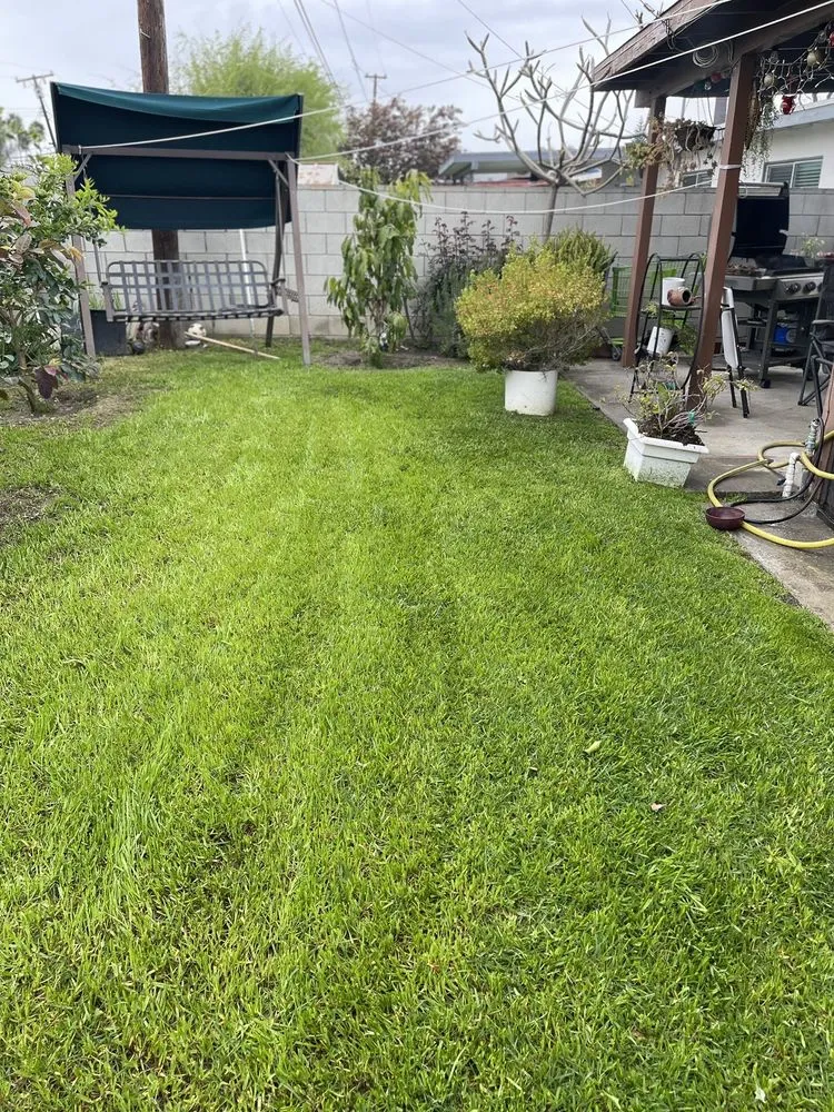 Reliable lawn mowing service for outdoor upgrades in Santa Fe Springs, CA by Rincon 4 Landscaping