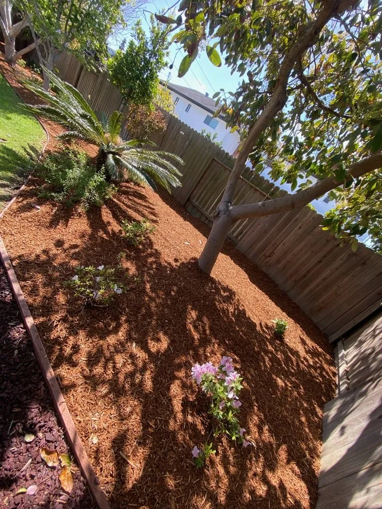 Top-rated garden landscaping for beautiful yards across Santa Fe Springs, CA - Rincon 4 Landscaping