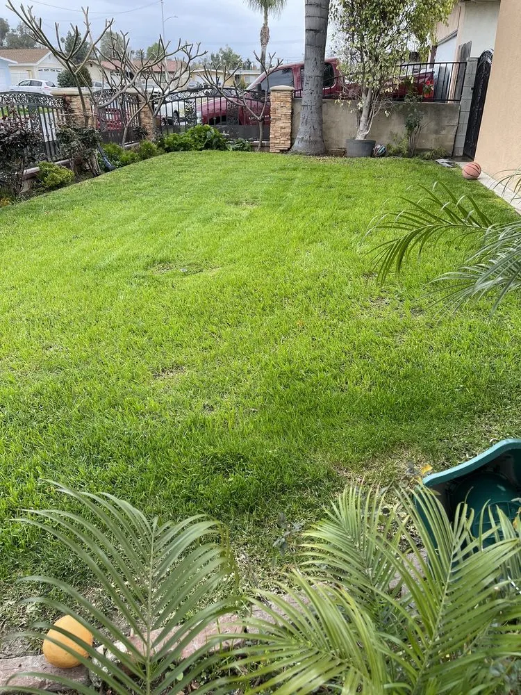 Trusted yard cleanup service for residential properties across Santa Fe Springs, CA - Rincon 4 Landscaping