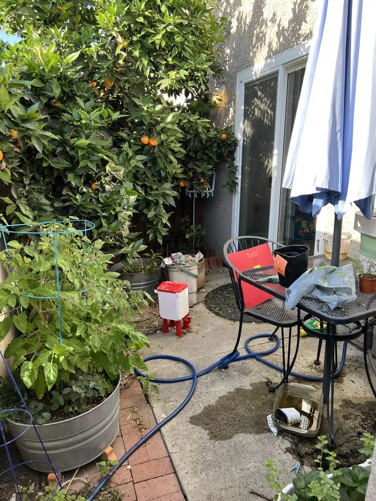 Trusted yard cleanup service in Santa Fe Springs, CA - Rincon 4 Landscaping