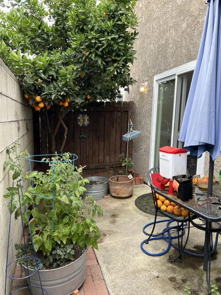 Reliable outdoor landscaping in Santa Fe Springs, CA by Rincon 4 Landscaping