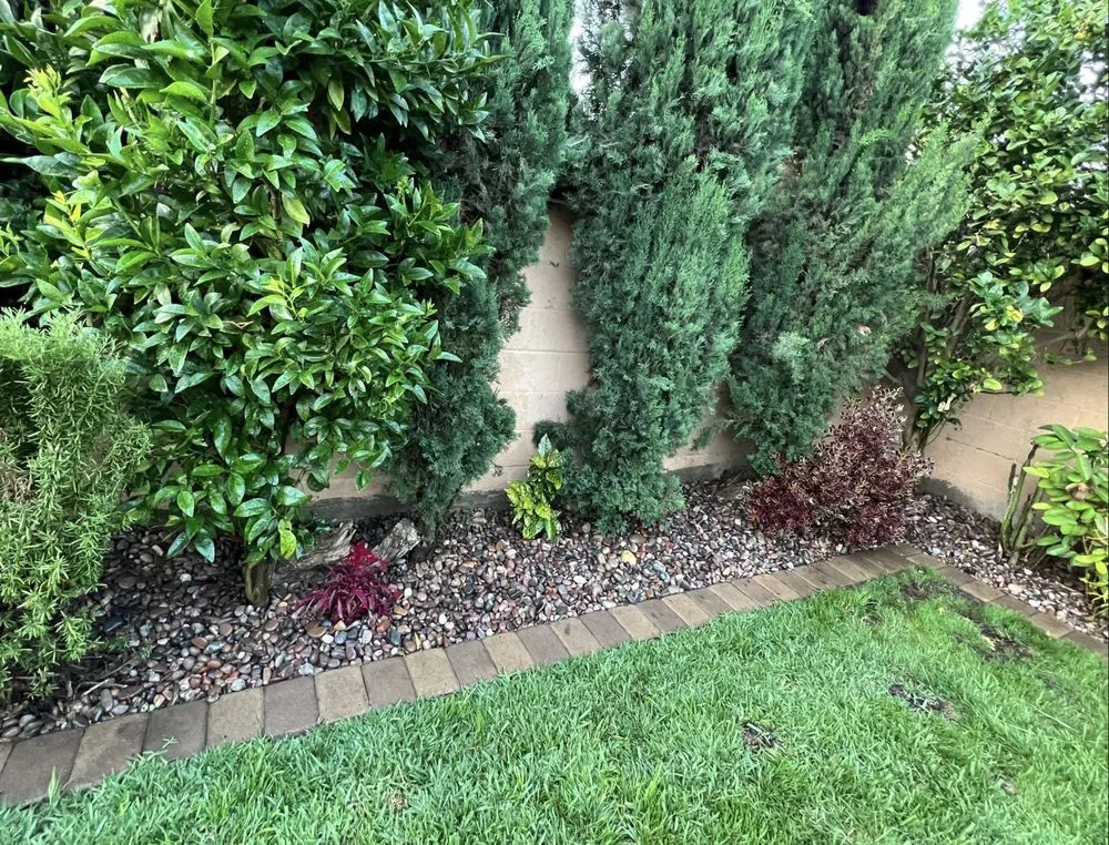 Top-rated lawn care service for residential properties in Santa Fe Springs, CA by Rincon 4 Landscaping