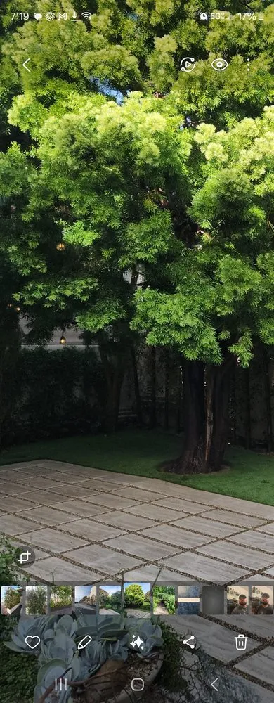 Trusted landscaping services in Oxnard, CA by Rincon Maintenance And Landscape Service