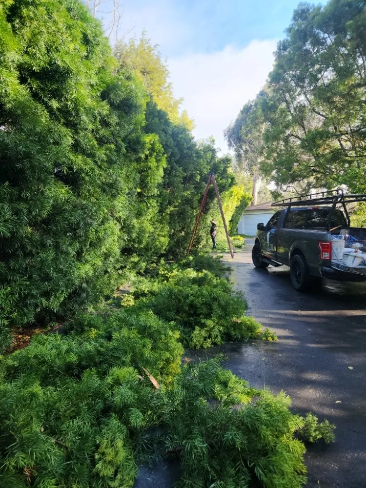 Custom outdoor landscaping experts serving Oxnard, CA - Rincon Maintenance And Landscape Service