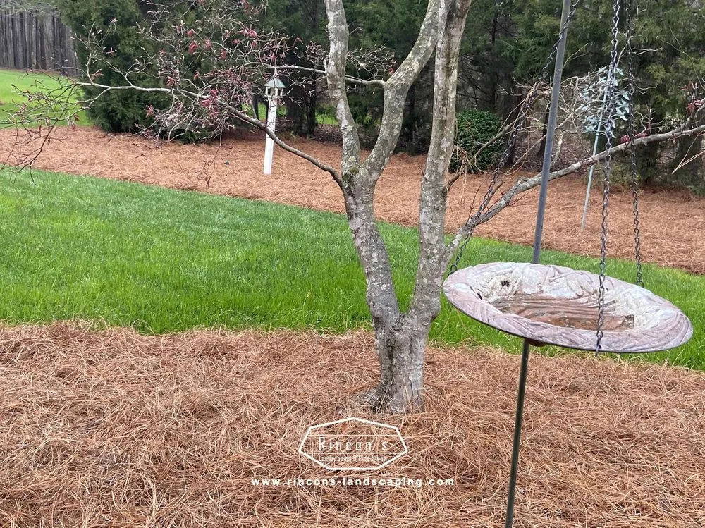 Reliable landscaping services for homes across Sanford, NC - Rincons Landscaping