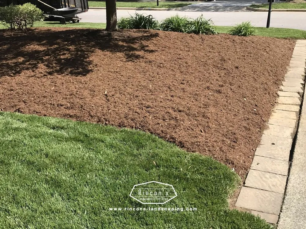 Local landscape installation experts serving Sanford, NC - Rincons Landscaping