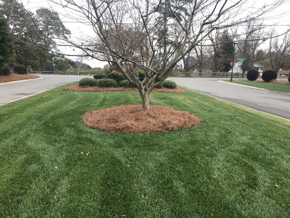 Reliable landscape installation experts serving Sanford, NC - Rincons Landscaping