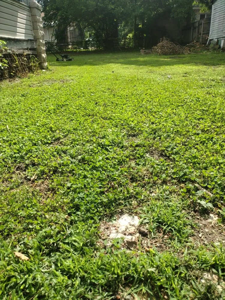 Trusted garden landscaping in Carthage, MO - Riner lawn care