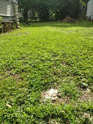 Riner lawn care Logo