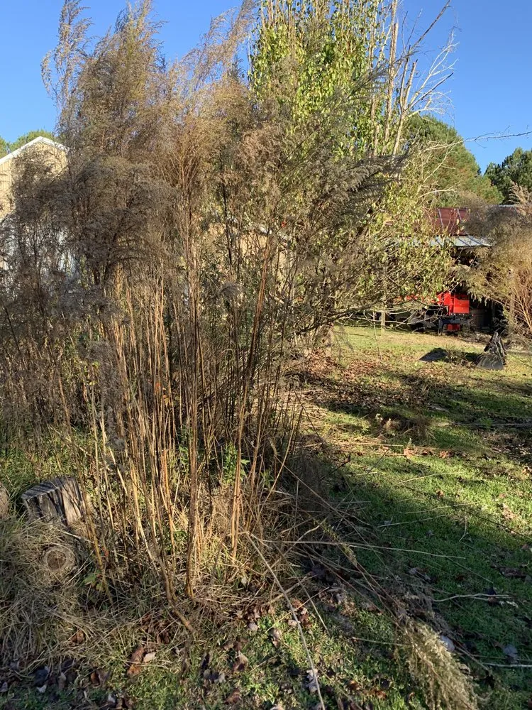 Custom garden landscaping near you across Kenansville, NC - Riner’s Lawn Care & Pressure Washing
