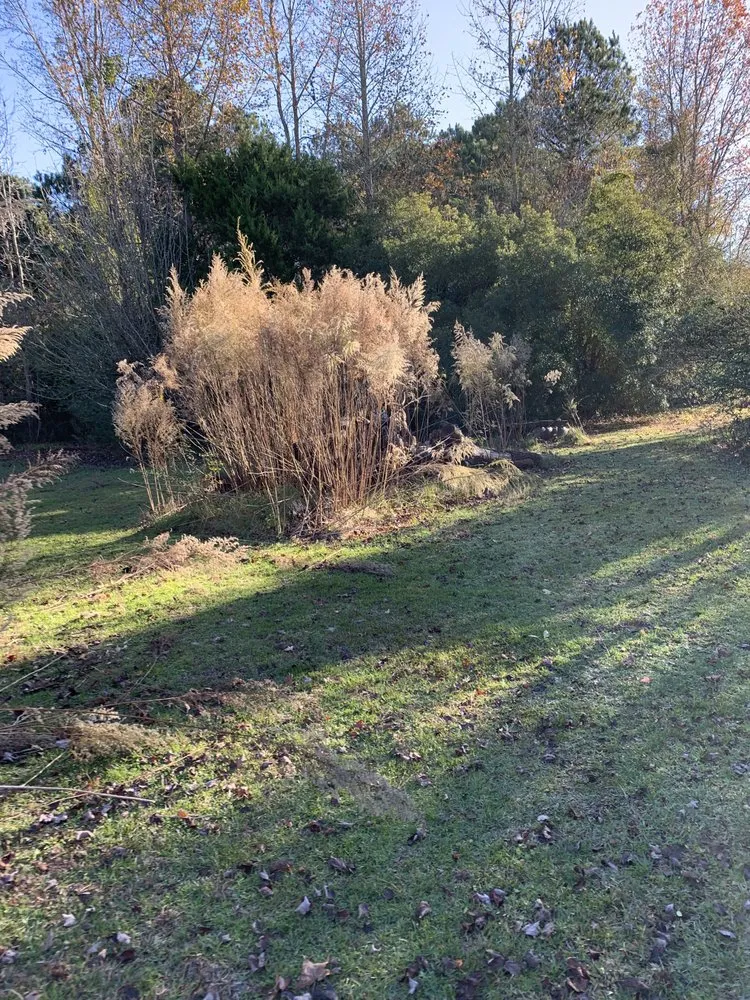 Affordable landscaping services in Kenansville, NC - Riner’s Lawn Care & Pressure Washing