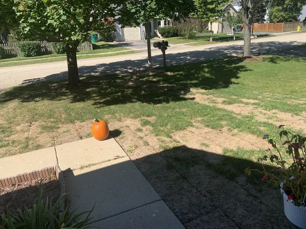 Top-rated yard maintenance in Crystal Lake, IL - Ringers Landscape Services