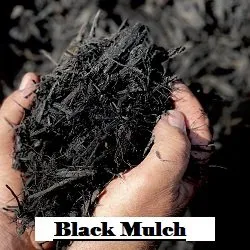 Affordable residential landscaping with custom design across Leesburg, FL - Ringers More than Mulch Landscaping Supplies