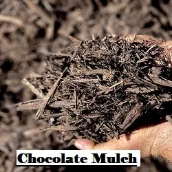 Affordable landscape design experts serving Leesburg, FL - Ringers More than Mulch Landscaping Supplies