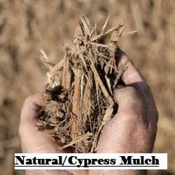 Affordable garden landscaping in Leesburg, FL by Ringers More than Mulch Landscaping Supplies