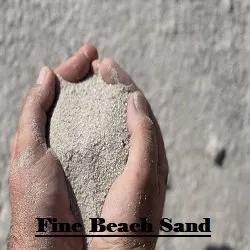 Professional outdoor landscaping near you in Leesburg, FL by Ringers More than Mulch Landscaping Supplies