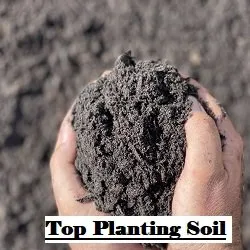 Top-rated lawn mowing service experts serving Leesburg, FL - Ringers More than Mulch Landscaping Supplies