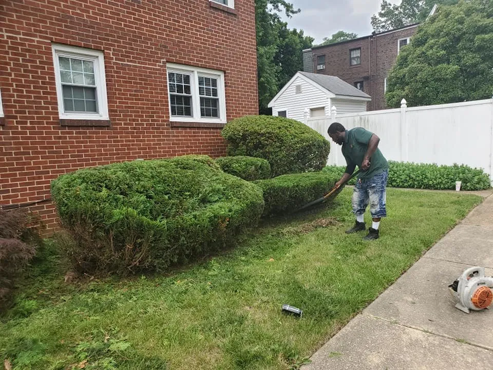 Expert landscaping services in Wilmington, DE - Ringgold Landscaping