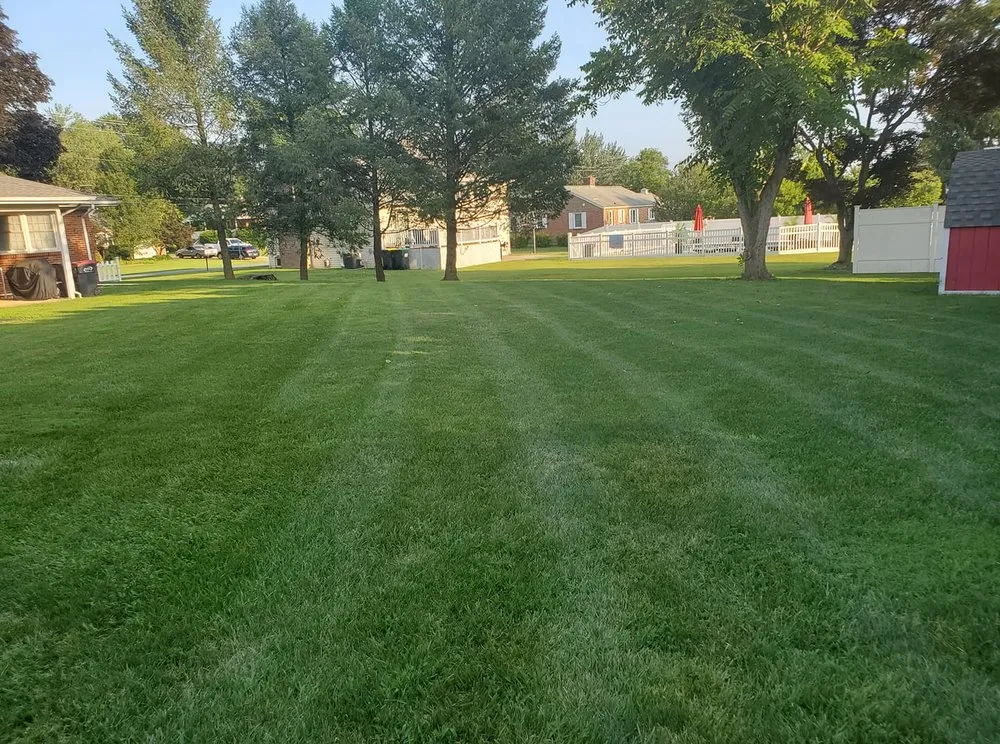 Affordable yard cleanup service in Wilmington, DE - Ringgold Landscaping