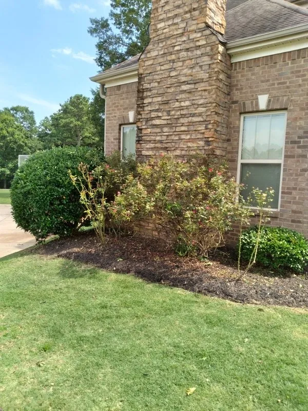 Reliable residential landscaping for beautiful yards in Woodruff, SC by Ringgold Lawn Care, LLC