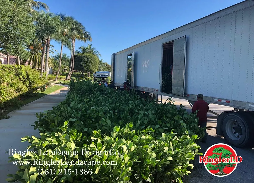 Top-rated landscape installation in Loxahatchee, FL - Ringler Landscape Design