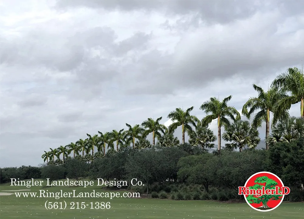 Reliable landscaping services for year-round maintenance across Loxahatchee, FL - Ringler Landscape Design
