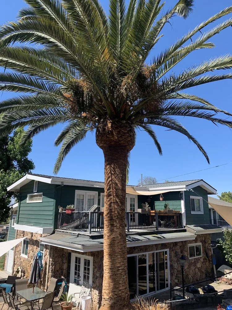 Reliable garden landscaping in Brentwood, CA - Ringo Tree Service & Dump Runs