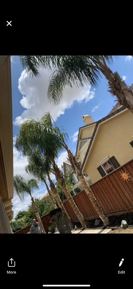 Trusted residential landscaping for residential properties in Brentwood, CA by Ringo Tree Service & Dump Runs