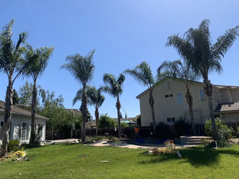 Trusted landscaping services in Brentwood, CA - Ringo Tree Service & Dump Runs