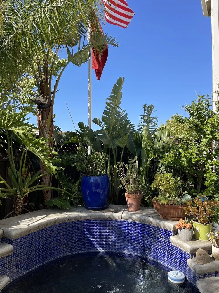 Affordable garden landscaping experts serving Brentwood, CA - Ringo Tree Service & Dump Runs