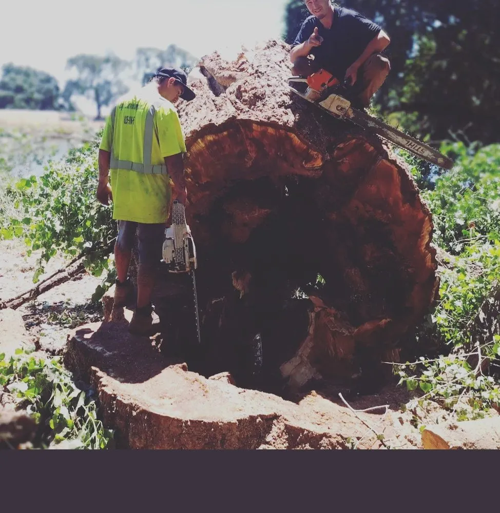 Reliable landscape installation in Brentwood, CA - Ringo Tree Service & Dump Runs