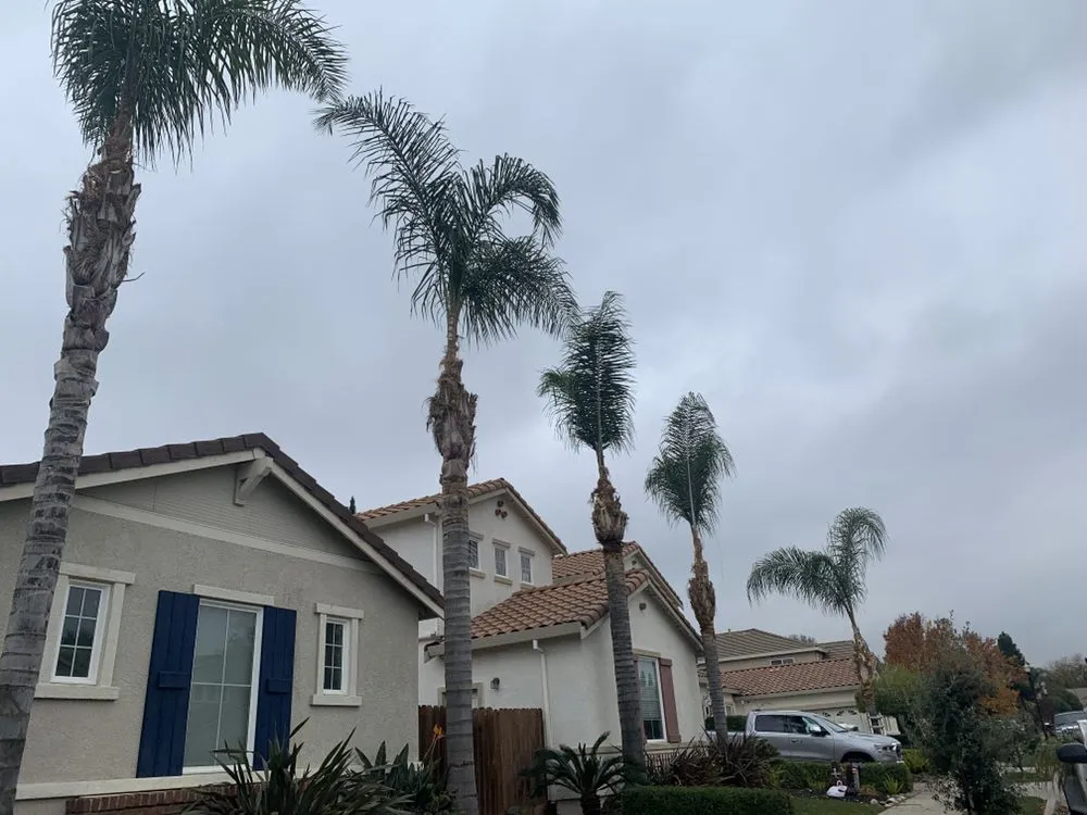 Local garden landscaping near you in Brentwood, CA by Ringo Tree Service & Dump Runs