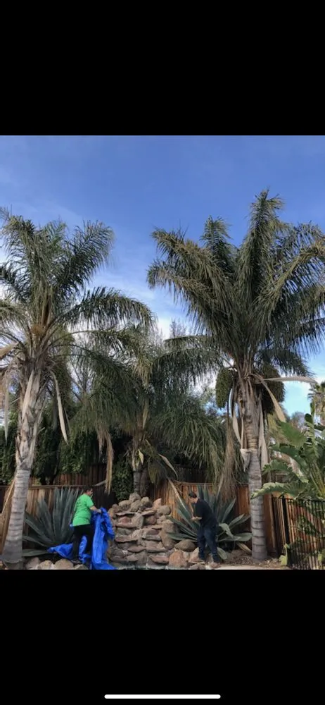 Affordable residential landscaping for outdoor upgrades in Brentwood, CA by Ringo Tree Service & Dump Runs