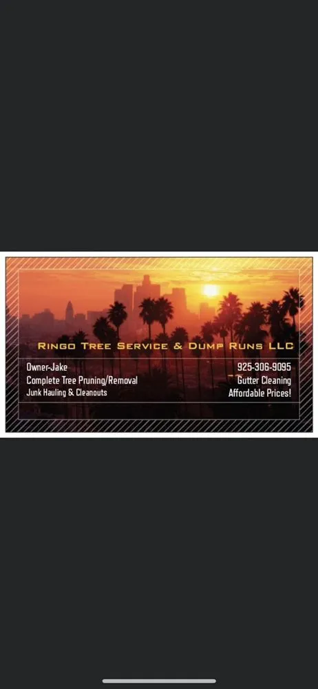 Local lawn mowing service with custom design in Brentwood, CA by Ringo Tree Service & Dump Runs