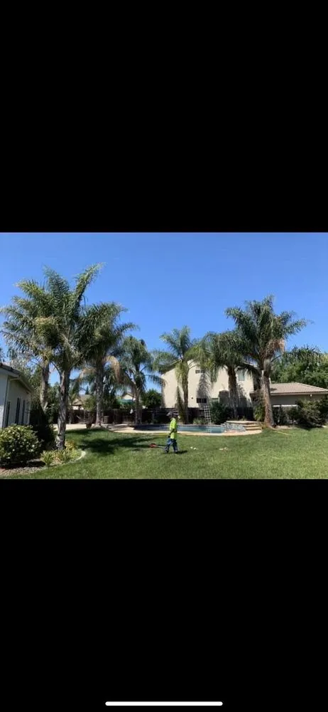 Top-rated lawn mowing service for residential properties in Brentwood, CA by Ringo Tree Service & Dump Runs