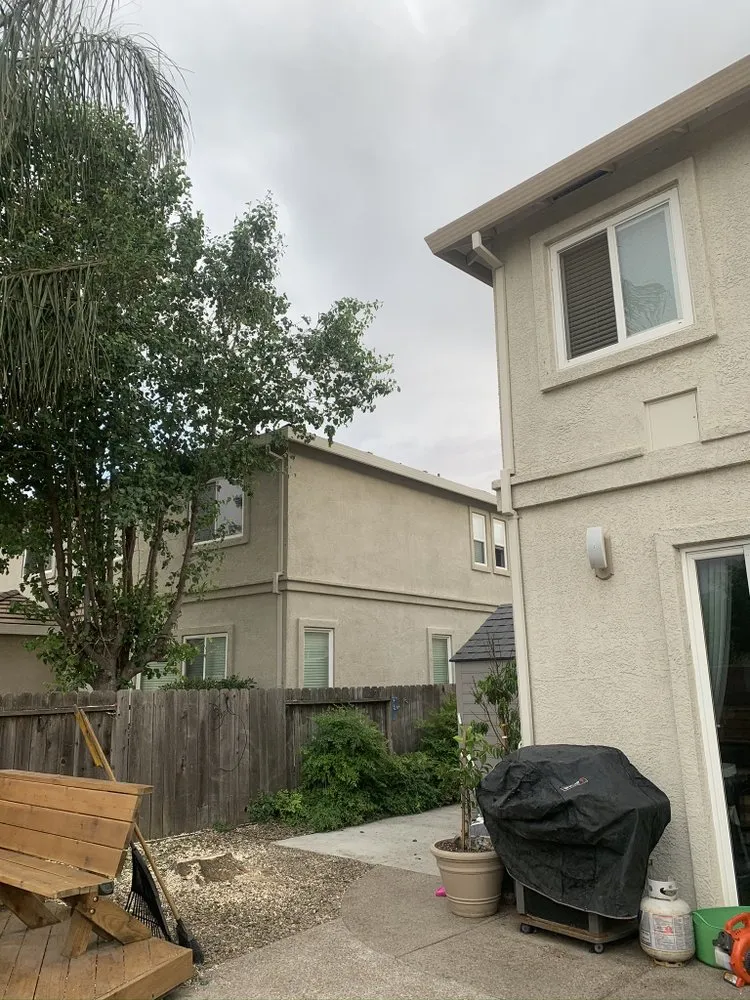 Reliable outdoor landscaping experts serving Brentwood, CA - Ringo Tree Service & Dump Runs