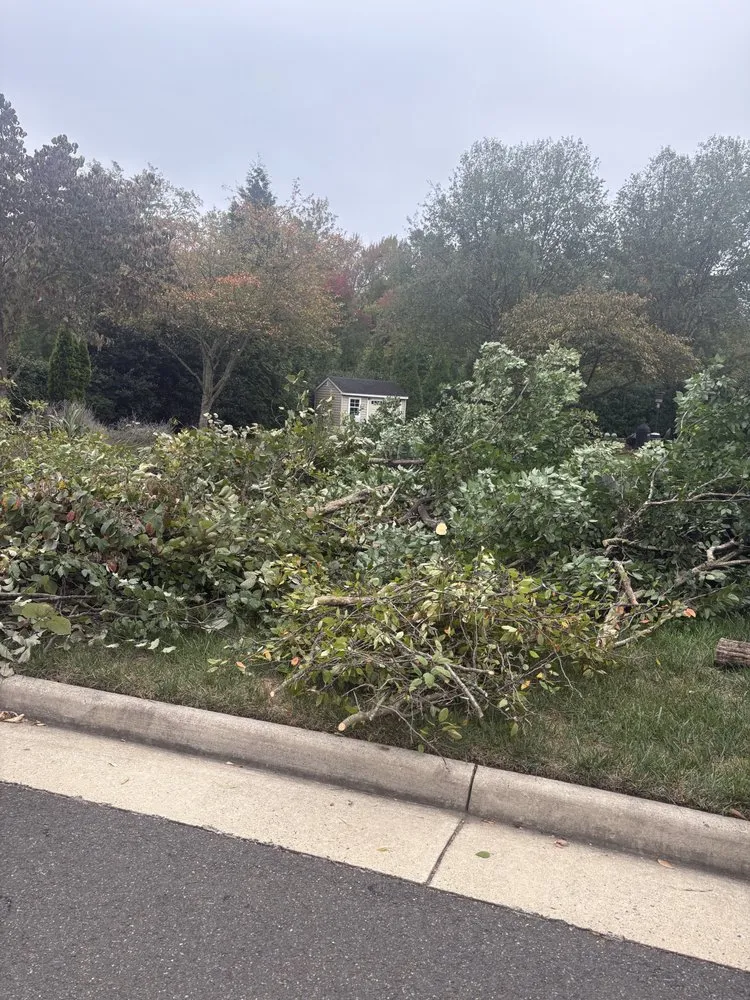 Custom yard maintenance for beautiful yards in Manassas, VA by Rio Grande Landscape Services