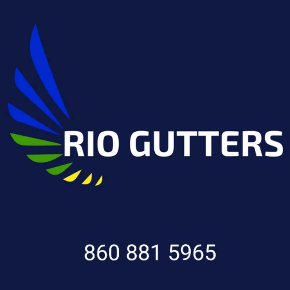 Trusted yard cleanup service near you in West Hartford, CT by Rio Gutters
