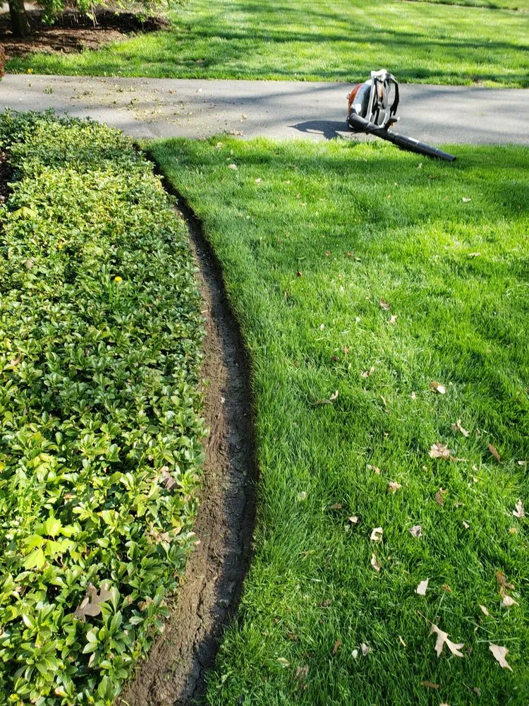 Expert lawn care service in West Hartford, CT - Rio Gutters