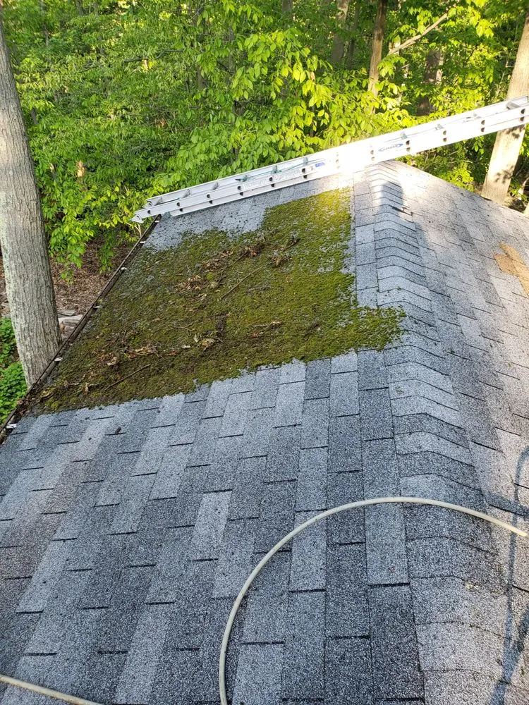 Reliable garden landscaping experts serving West Hartford, CT - Rio Gutters